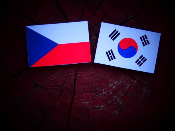 istock Czech flag with South Korean flag on a tree stump isolated 821045834