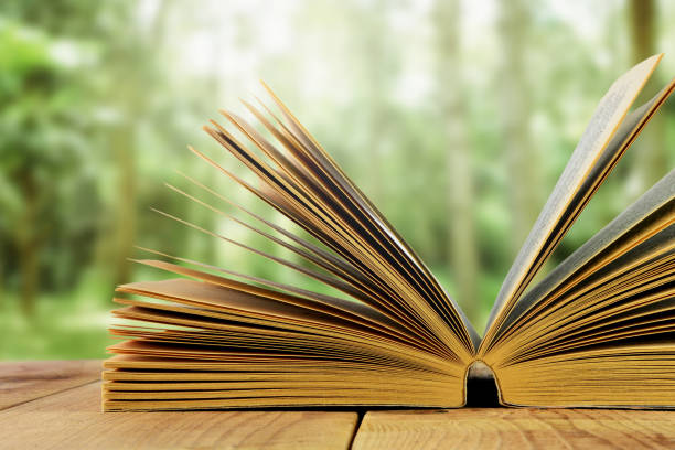 istock Open book and blurred garden background. 821045884