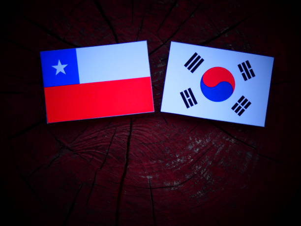 istock Chilean flag with South Korean flag on a tree stump isolated 821045916
