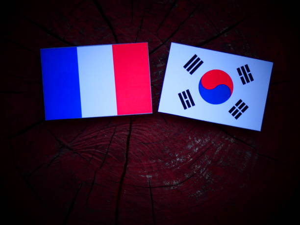 istock French flag with South Korean flag on a tree stump isolated 821051624