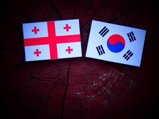istock Georgian flag with South Korean flag on a tree stump isolated 821052198