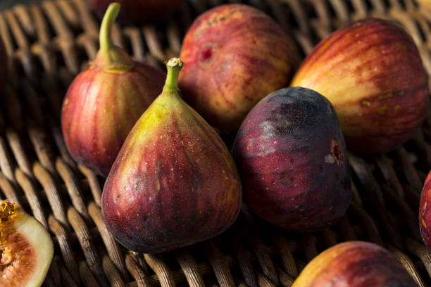 istock Raw Organic Purple Figs 821054402