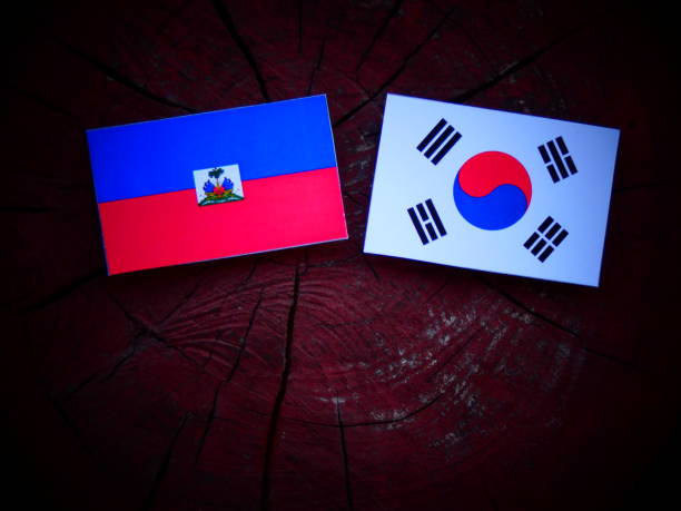 istock Haitian flag with South Korean flag on a tree stump isolated 821054720