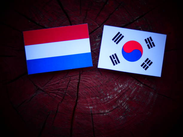 istock Dutch flag with South Korean flag on a tree stump isolated 821054796