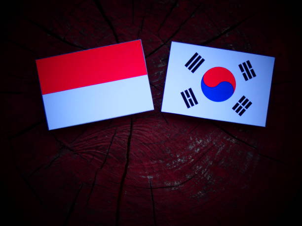 istock Indonesian flag with South Korean flag on a tree stump isolated 821054978