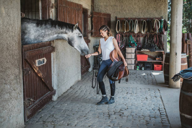 mi amigo a caballo - horse stall stable horse barn fotografías e imágenes de stock