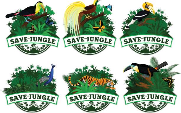 save jungle emblems with animals set save jungle emblems with animals set rainbow toucan stock illustrations