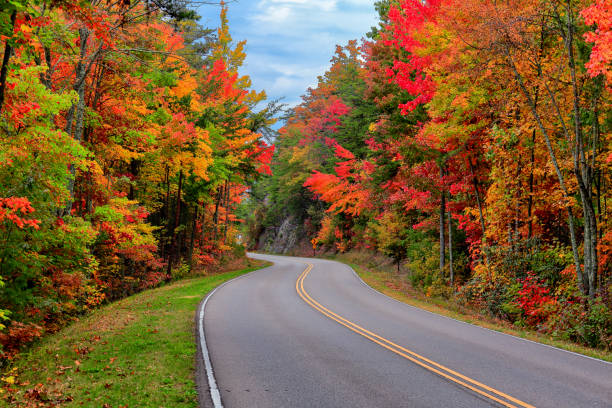 Foothills Parkway, Tennessee Autumn colors along the Foothills Parkway near Gatlinburg, Tennessee gatlinburg stock pictures, royalty-free photos & images