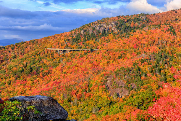 istock Fall Foliage along the Blue Ridge Parkway in North Carolina 821062432