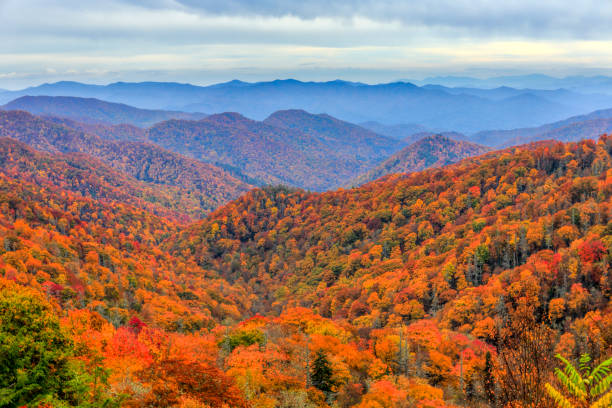 素晴らしいスモーキー山脈国立公園、ノースカロライナ - autumn landscape ストックフォトと画像