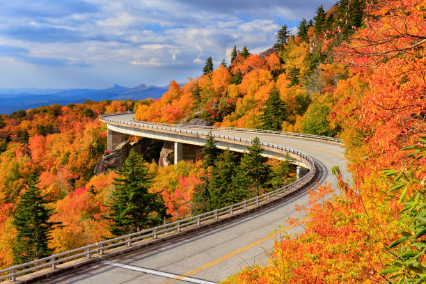 istock Linn Cove Viaduct, Blue Ridge Parkway, North Carolina 821062594