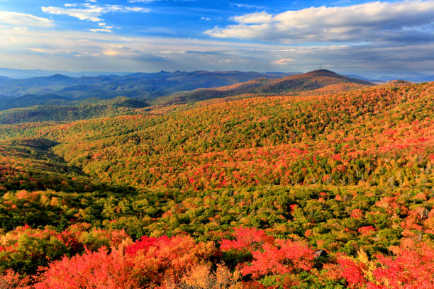 istock Fall Foliage along the Blue Ridge Parkway in North Carolina 821064230