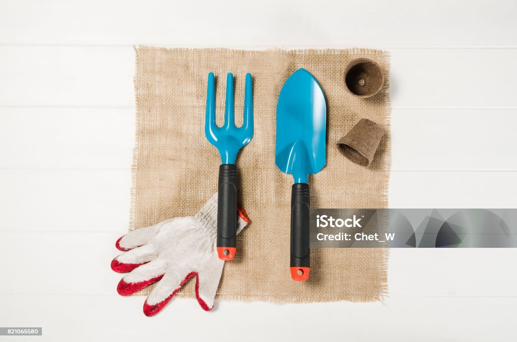 Gardening tools top view on white wooden planks background Gardening tools top view on white wooden planks background with copy space around products. Border with place for text. Gardening or planting concept seen from above. Working in a clean indoor garden. Above Stock Photo