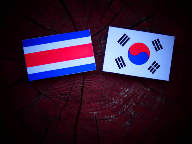istock Costa Rican flag with South Korean flag on a tree stump isolated 821065658
