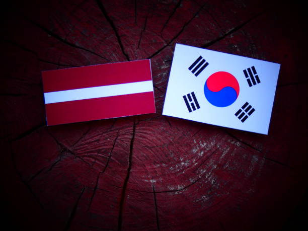 istock Latvia flag with South Korean flag on a tree stump isolated 821079932