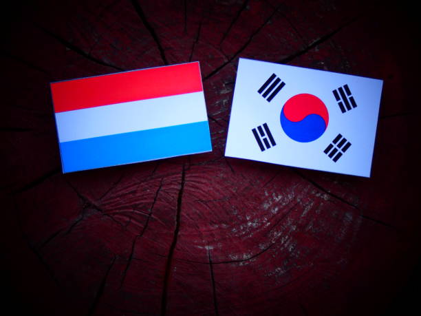 istock Luxembourg flag with South Korean flag on a tree stump isolated 821080442