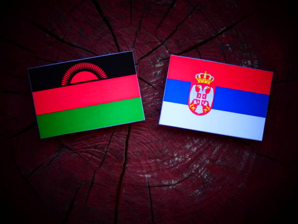 istock Malawi flag with Serbian flag on a tree stump isolated 821080882