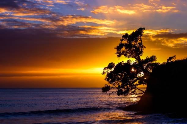istock Sunrise at Waipu Cove 821080902