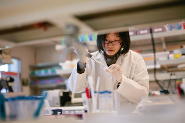 Asian Scientist Pipetting at a Biomedical Laboratory stock photo