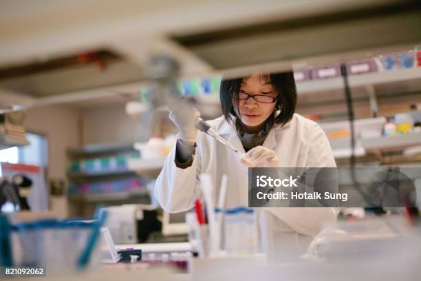 Asian Scientist Pipetting At A Biomedical Laboratory Stock Photo - Download Image Now