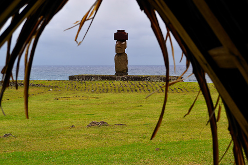 Landscape of the Easter Island