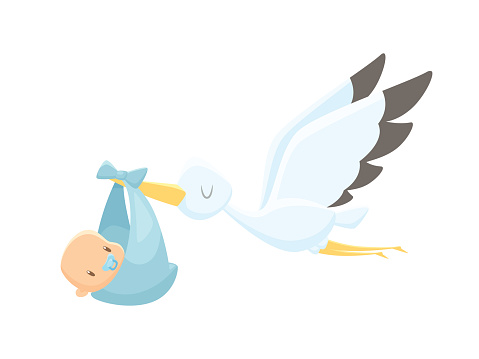 Cartoon stork carrying baby vector illustration