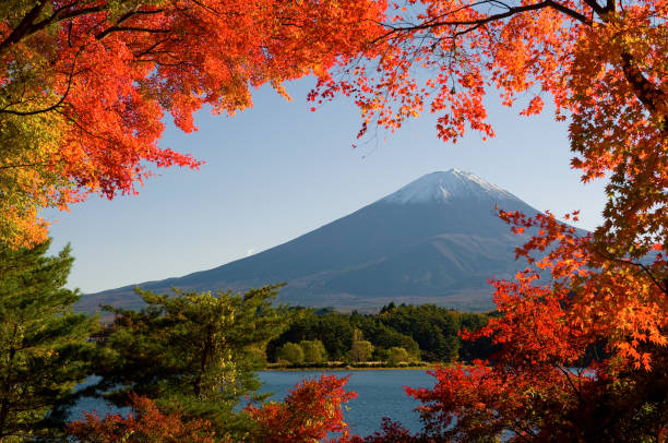 istock Mt.Fuji in autumn 821117622