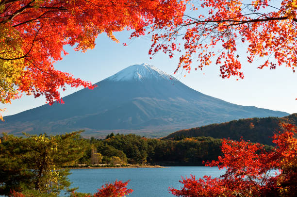 istock Mt.Fuji in autumn 821117680
