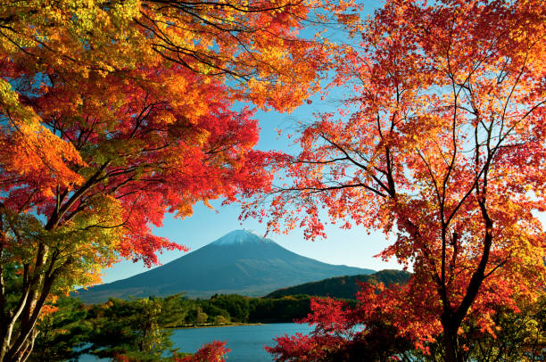 istock Mt.Fuji in autumn 821117804