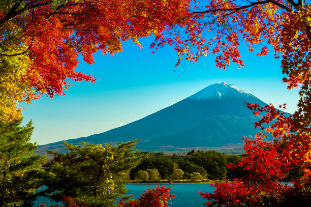 istock Mt.Fuji in autumn 821117944