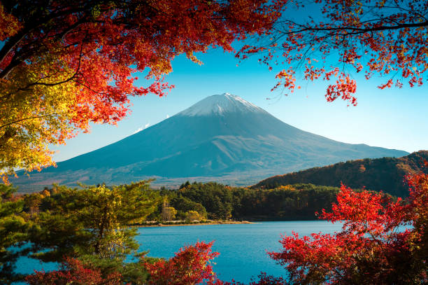 istock Mt.Fuji in autumn 821118042