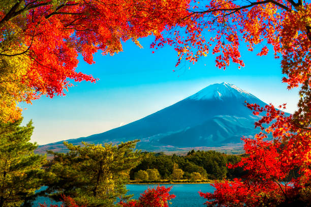istock Mt.Fuji in autumn 821118044