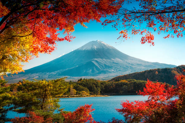 istock Mt.Fuji in autumn 821118096