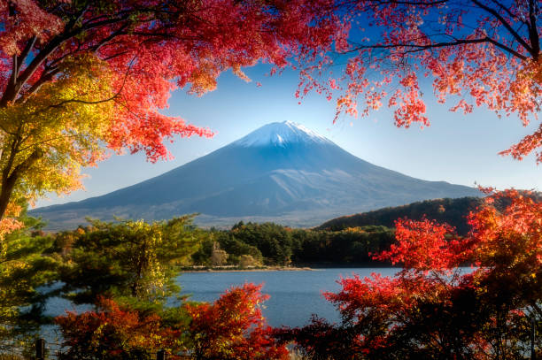 istock Mt.Fuji in autumn 821118158