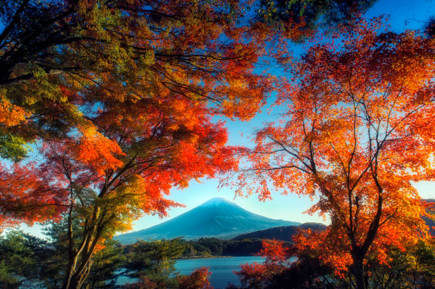 istock Mt.Fuji in autumn 821118286