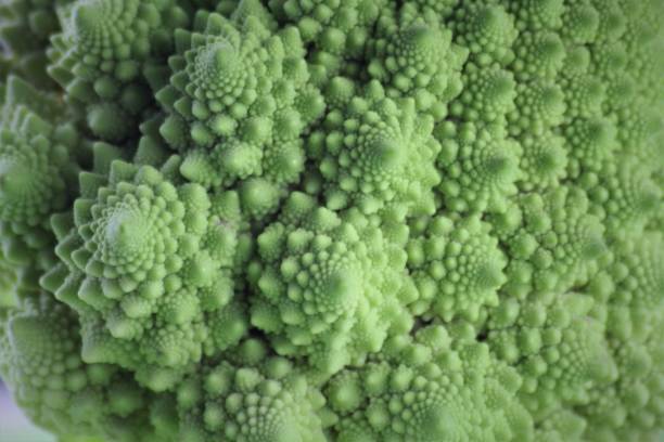 istock An image of a vegetable - romanesco 821123924