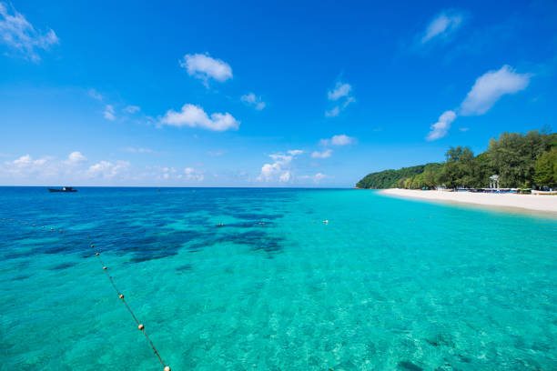 istock Mai Ton island beautiful beach in Phuket 821124634