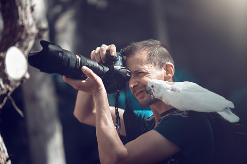 summer day in tropical forest with photographer capturing amazing animals, white parrot on his shoulder.