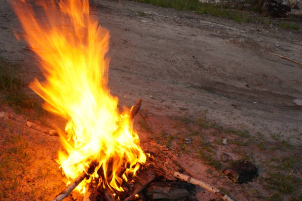 istock Bright flame of fire from birch bark and firewood in the evening forest 821134148