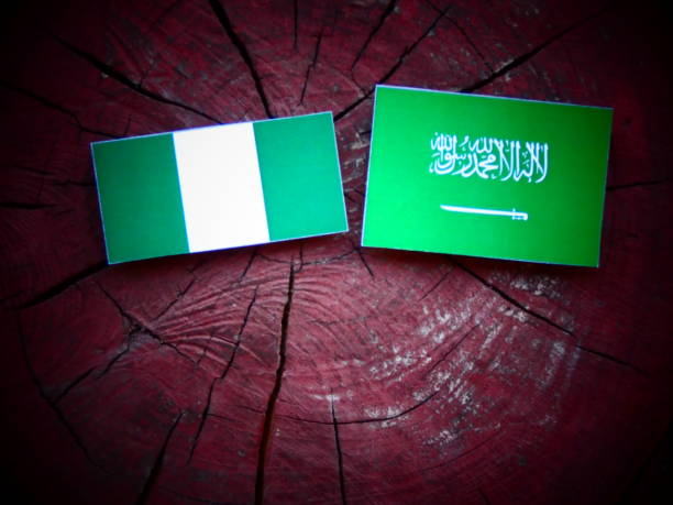 istock Nigerian flag with Saudi Arabian flag on a tree stump isolated 821134200