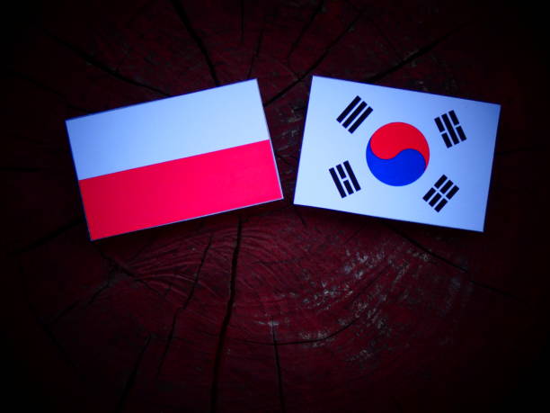 istock Polish flag with South Korean flag on a tree stump isolated 821134846
