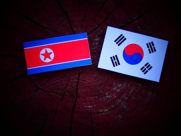 istock North Korean flag with South Korean flag on a tree stump isolated 821138138