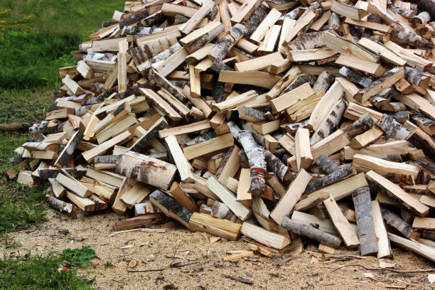istock bunch of birch logs on the grass, chopped by an axe. 821138422