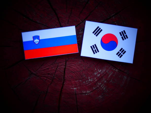 istock Slovenian flag with South Korean flag on a tree stump isolated 821138466