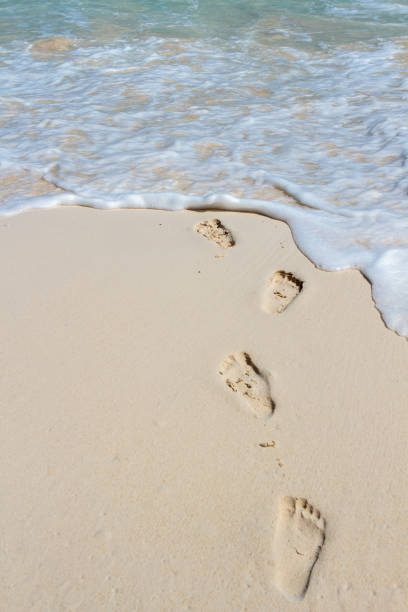 istock Footprints in the sand on the beach 821141844