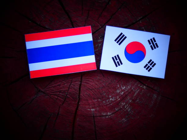 Thai flag with South Korean flag on a tree stump isolated Thai flag with South Korean flag on a tree stump isolated thailand flag round stock pictures, royalty-free photos & images