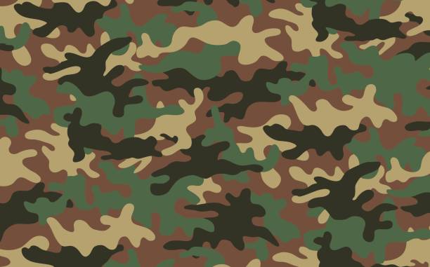 illustrazioni stock, clip art, cartoni animati e icone di tendenza di texture mimetica militare verde e marrone - battledress