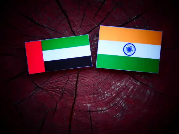 United Arab Emirates flag with Indian flag on a tree stump isolated