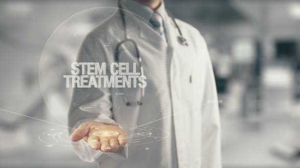 Doctor holding in hand Stem Cell Treatments Concept of application new technology in future medicine stem cell stock pictures, royalty-free photos & images
