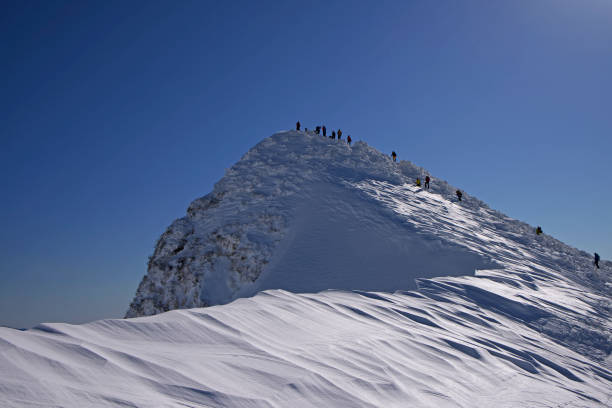 istock Mt. Tanigawa in winter 821153600